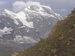 Grand Combin