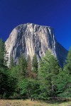 El Capitan avec la face ouest à gauche