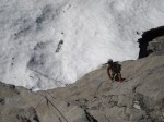 première longueur de l herbe à tonton sur fond de neige fraîche