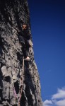 Dingo (1999), 12e longueur,