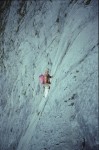 Elephantenohr (1993)
