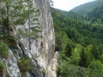 Un endroit paisible dans la verdure du mois de juin