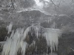 Dry des Nants dans les gorges de Court, 2010