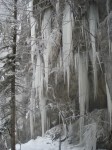 Dry des Nants dans les gorges de Court,