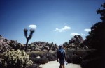 Joshua Trees, indispensable, le bidon d eau