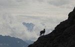 Un local sur fond de Lauteraarhorn et Schreckhorn