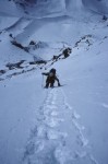 Face sud du Grand Combin