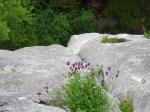 Le laminoir de la Sensationnelle, au Vaferdeau, Jura, une longueur qui ne se laisse pas dompter facilement.