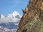 Dri Horlini, Valais, avec l Allalin