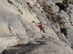 Les Calanques, "Fleurs du mal" à la Grande Candelle