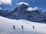 Gemsberg, devant le "Scheideggwetterhorn"