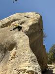 Buoux, Rose des sables 2024