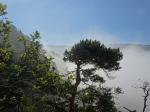 Le Pichoux en automne