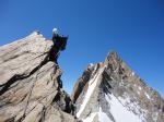 entre Schreckhorn et Lauteraarhorn