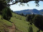 en dessous du Brahon, en direction de la falaise