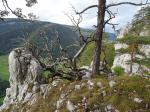 Vue de la falaise de Montoz