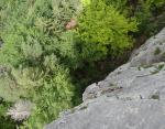 Vaferdeau, Sensationnelle