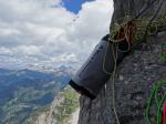 Notre bonne vieille mule