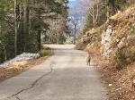 17.03.2020, juste le temps de planter sur les freins du vélo...