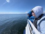 en bateau sur le Saint-Laurent, à l affût des baleines