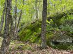 Mont Larose