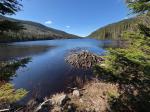 Lac Michta, parc naturel des Laurentides