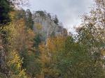 Un sacré "The Wall" emerge de la forêt